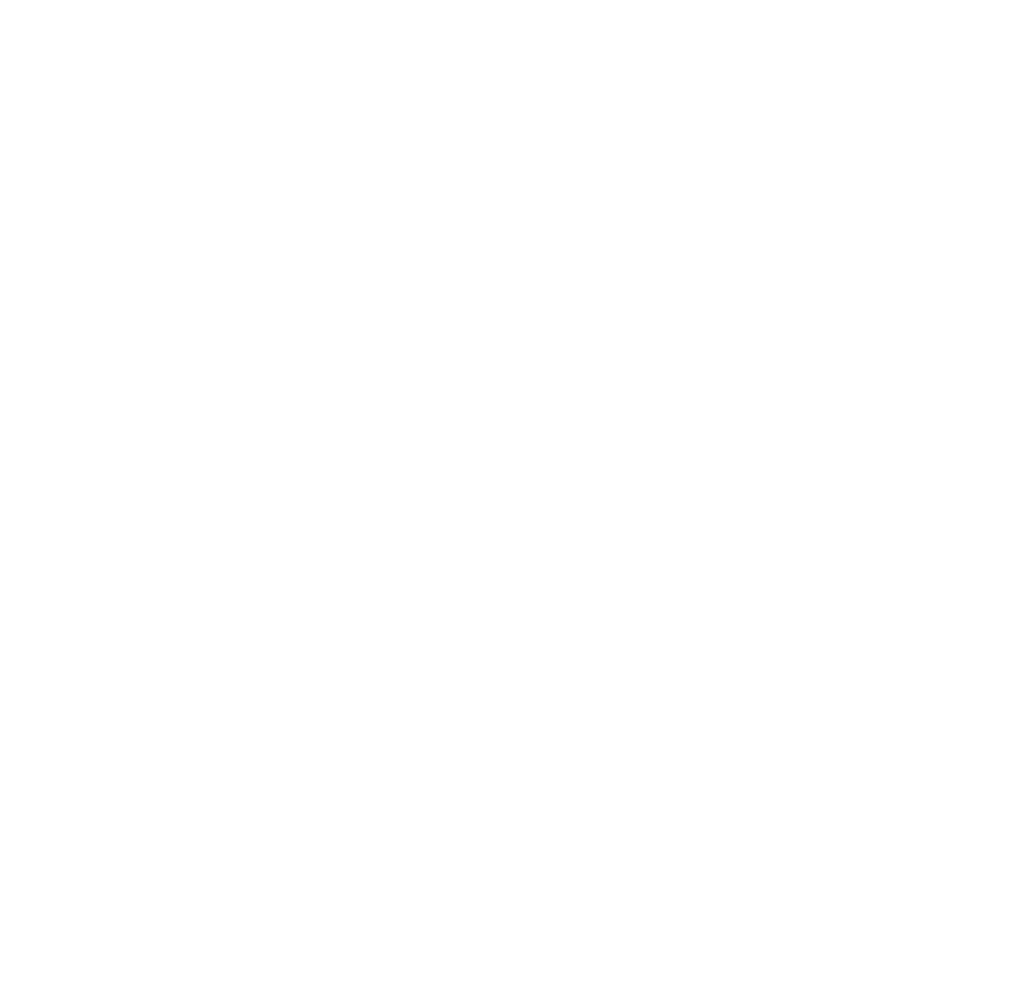 Elido AI